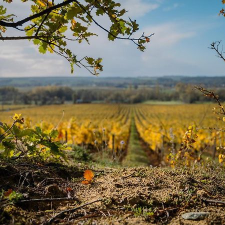 Domaine Beausejour Panzió Panzoult Kültér fotó