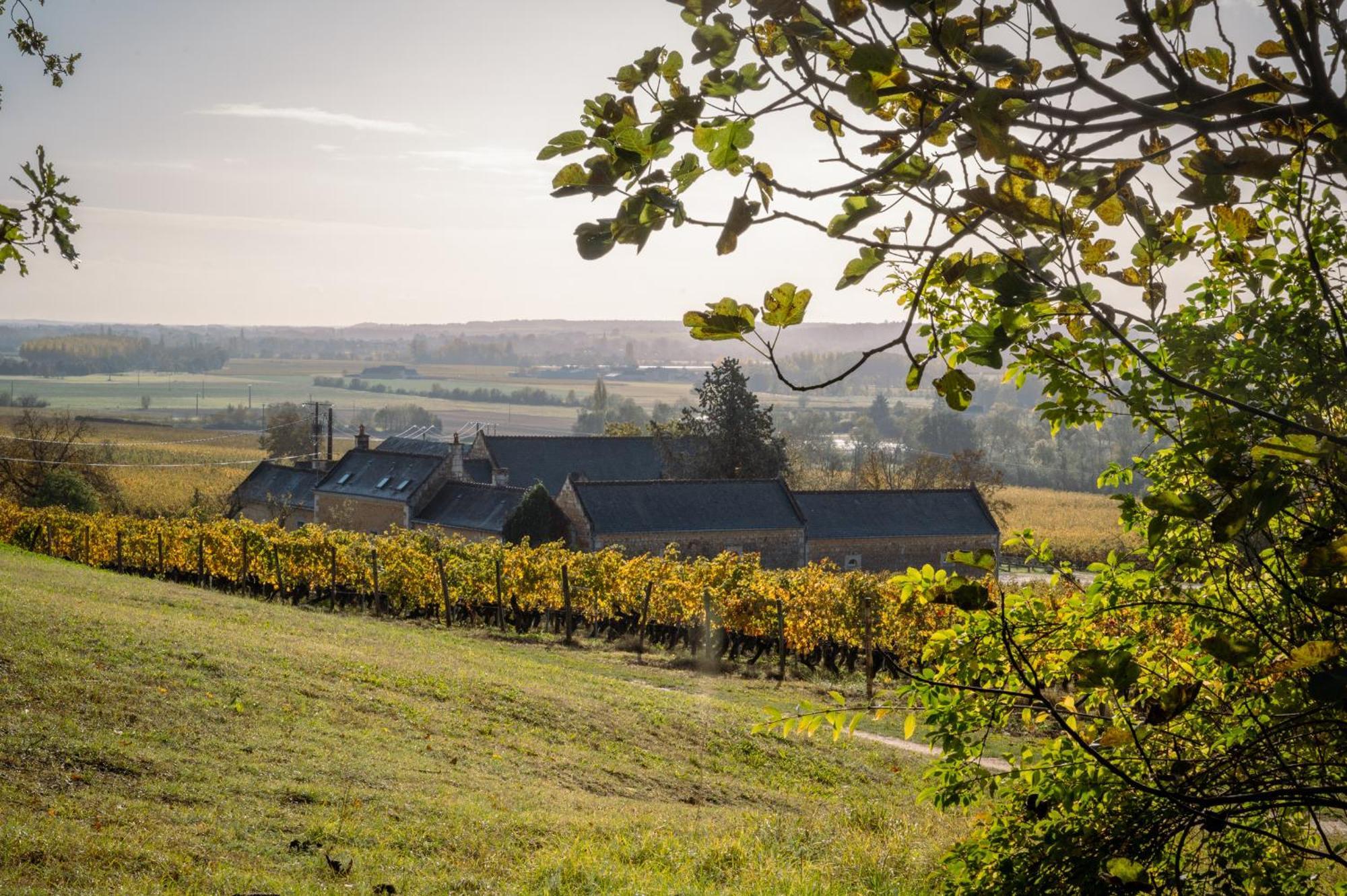 Domaine Beausejour Panzió Panzoult Kültér fotó