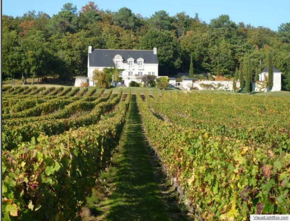 Domaine Beausejour Panzió Panzoult Kültér fotó
